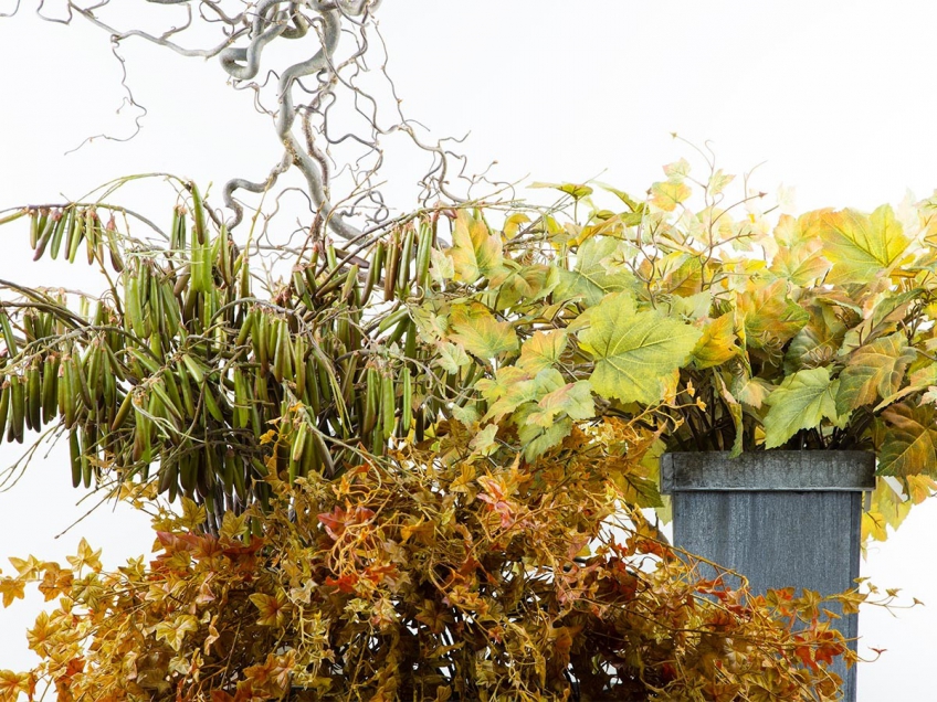 AUTUNNO